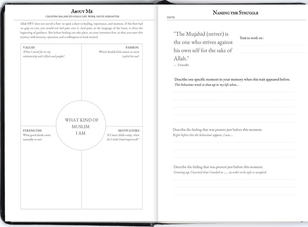 For The Troubled Hearts Journal